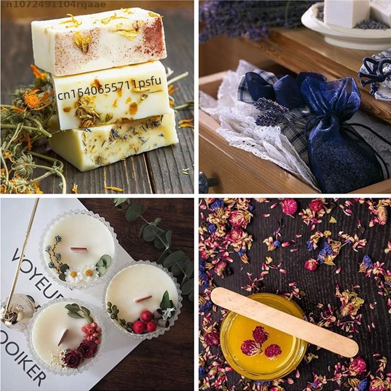 Bunga Forget Me Not Kering Ala - Soap Making Raw Material ulasan dan harga